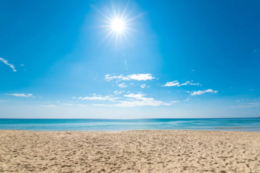 Happy Summer!
