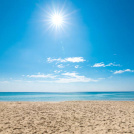 Happy Summer!